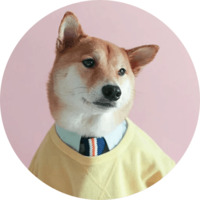 Собака Сиба-Ину