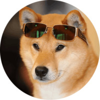 Собака Сиба-Ину