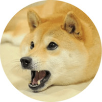 Собака Сиба-Ину
