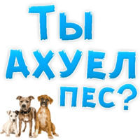 Нестандартные ругательства