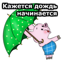 Винни Пух