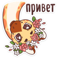 Набор стикеров Кокосик