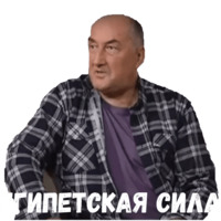 Воронины