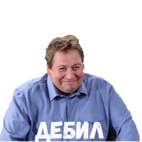 Воронины
