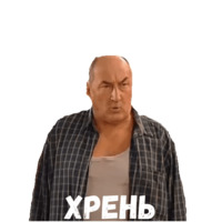 Воронины