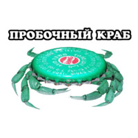 Всратые Жвотные