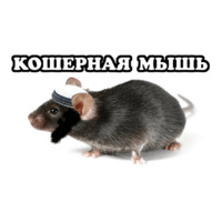Всратые Жвотные