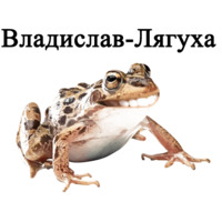 Всратые Жвотные
