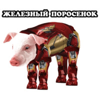 Всратые Жвотные