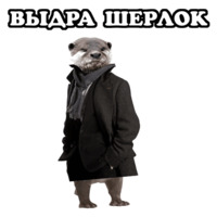 Всратые Жвотные
