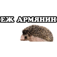 Всратые Жвотные