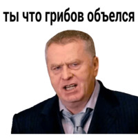 Владимир Жириновский