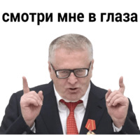 Владимир Жириновский