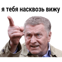 Владимир Жириновский
