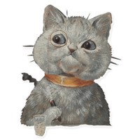 Коты Уэйна