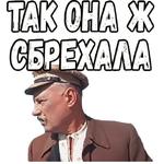 Свадьба в Малиновке :: @elsticko