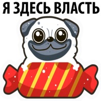 Набор стикеров Белый мопс