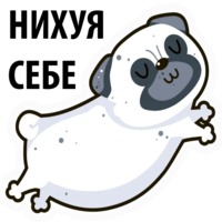 Белый мопс