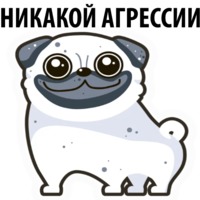 Белый мопс
