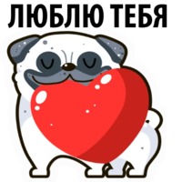Белый мопс