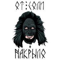 Паша Техник