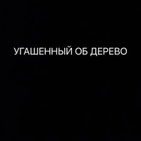 Цитаты простых людей