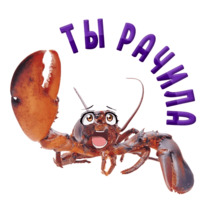 Раки