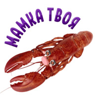Раки