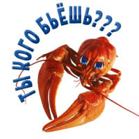 Раки