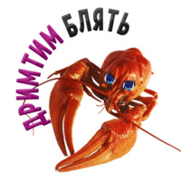 Раки