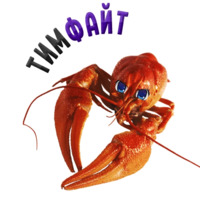 Раки