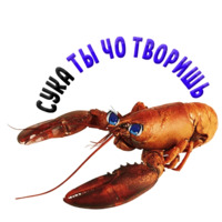 Раки