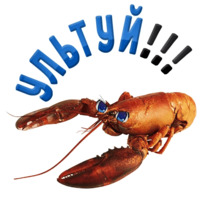 Раки