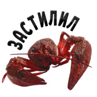 Раки