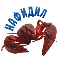 Раки