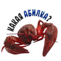 Раки