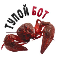 Раки
