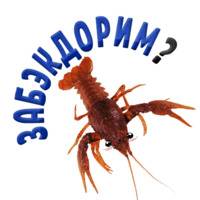 Раки