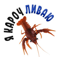 Раки
