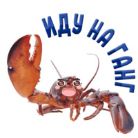 Раки