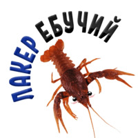 Раки