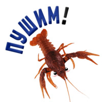 Раки