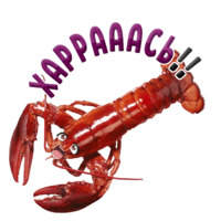 Раки