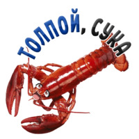 Раки