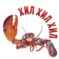 Раки