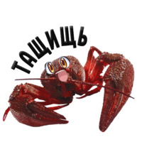 Раки