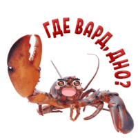 Раки