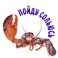 Раки