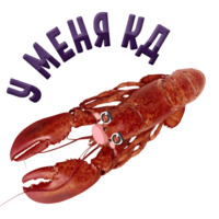 Раки