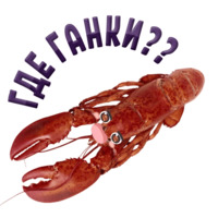 Раки